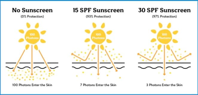 Güneşten Korunmanın Bilimsel Yöntemleri – 2025 Yaz Sağlık Rehberi - Resim 3
